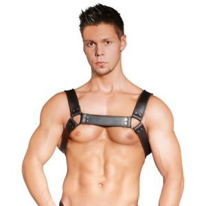 Harness